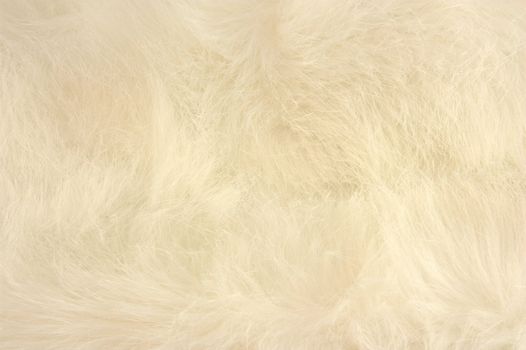White silk fur on the background
