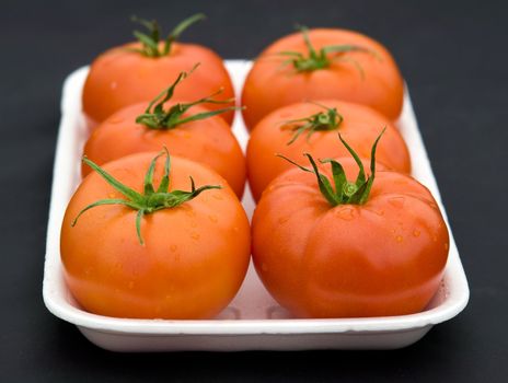 fresh red tomatoes on a black background