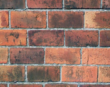 Detail of red bricks in wall.
