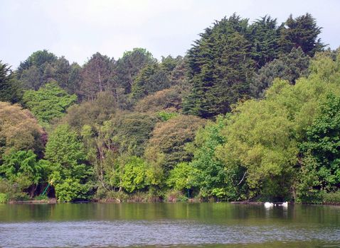 Scenery of peaceful lake, Scarborough, England.