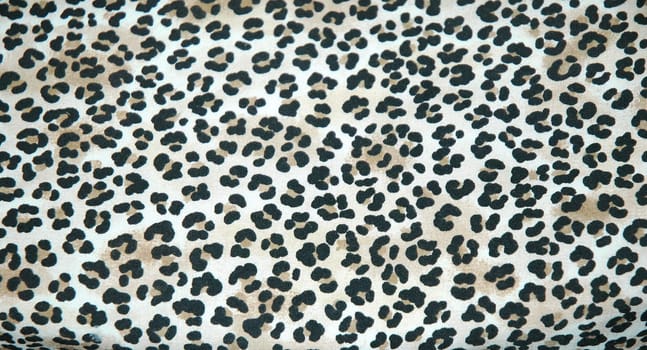 Leopard skin rug in a luxury home.