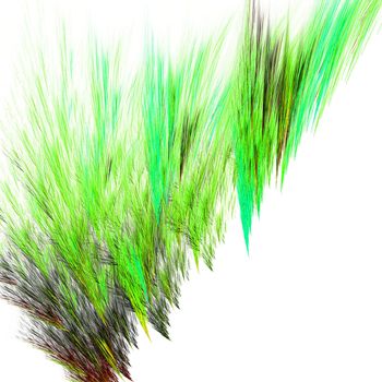 Fractal Abstract Grass Design on a black background.