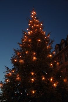 lighted christmas tree in the early afternoon