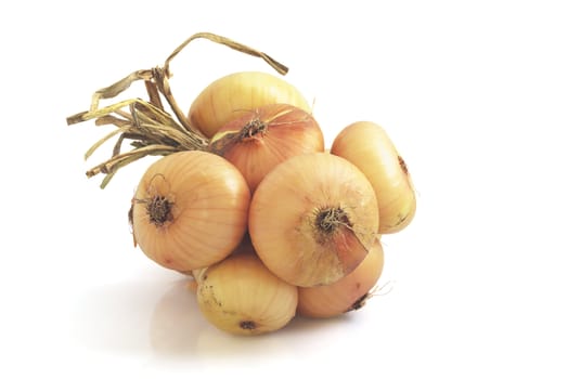 Fresh onion bunch on white background