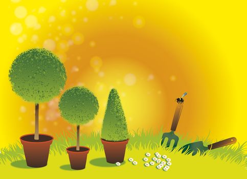 A landscape format image of three potted topiary bushes set on a green grassed background with a small garden fork and spade and daisys on summer background. Room for additional copy.