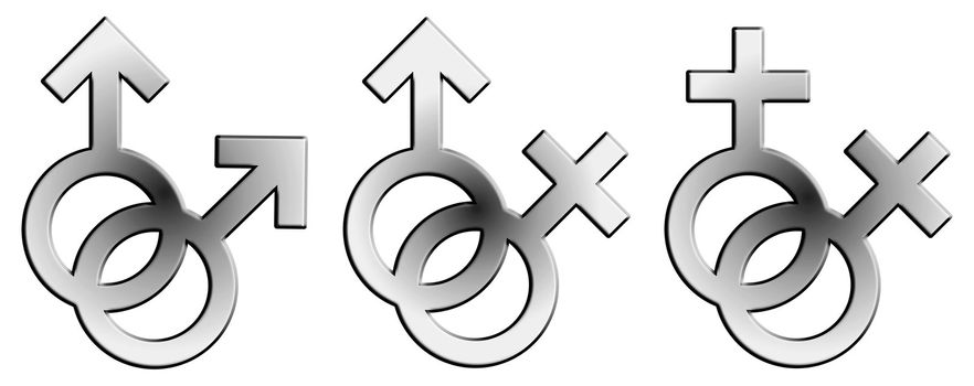 Embossed sign / symbol of male and female, straight, gay and lesbian.