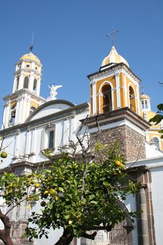 Old catholic cathedral with citrus tree in front