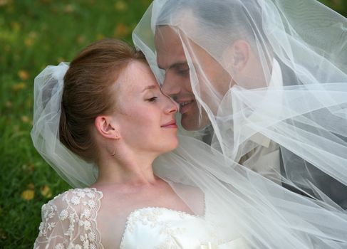 The groom and the bride kiss having closed by a veil