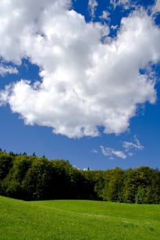 Meadow, forest and blue sky with clouds.