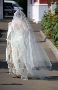 The bride in a long veil in a sunny day