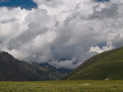 Watching the clouds from an alpine meadow in the Colorado Rockies.