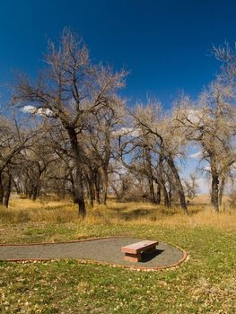 Bench in March - A nice place for a rest during a walk,