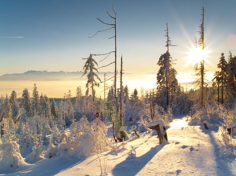 Winter sunset in Polish mountain. White snow. Winter time