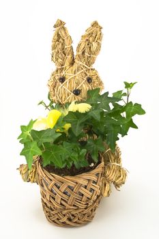 Knitted Easter Bunny, holding a basket with green decoration. On white background