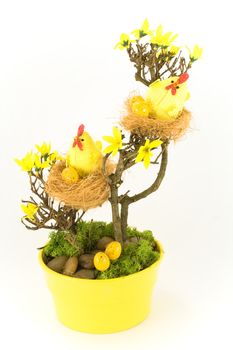 Easter tree in yellow pot with hens, nests and eggs. Isolated on white.