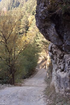 road and rock in valley
