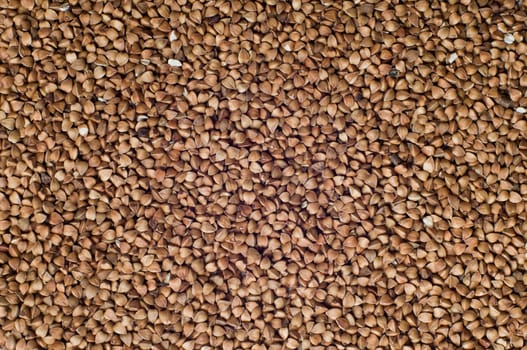 Buckwheat background
