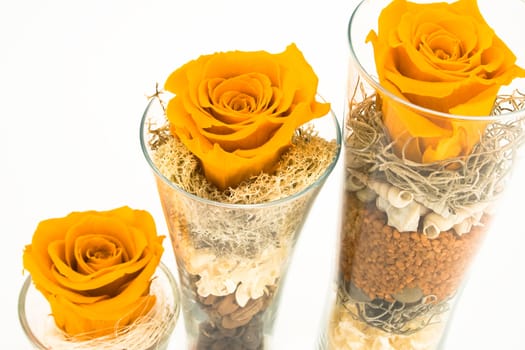 Three orange roses in decorated glasses. Isolated on white background.