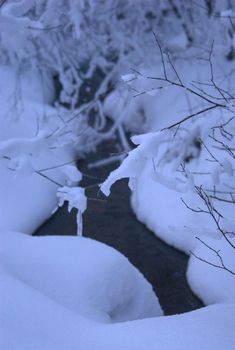  Winter Landscape