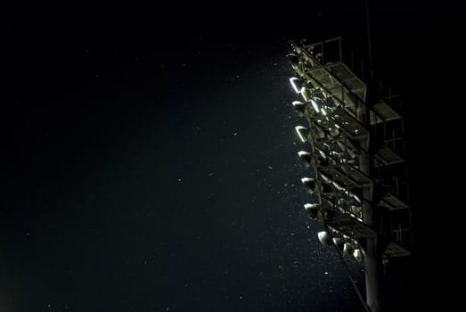 Stadium reflector with bugs flying about. Night shot.