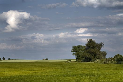 Non-urban field in southern Poland