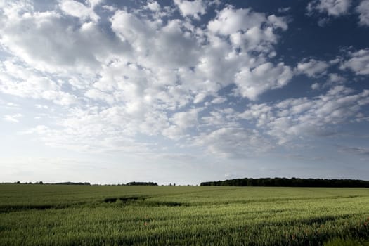 Non-urban field in southern Poland