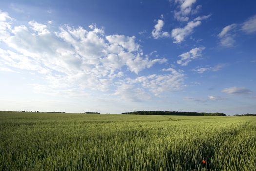 Non-urban field in southern Poland