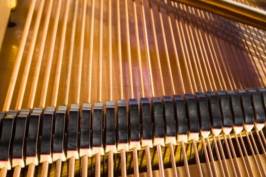 Picture of old piano inside of the body.