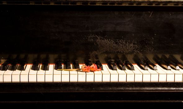 Old piano with dried roses on it's keyboard.