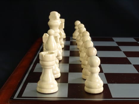 Bone white chess pieces ready to start the game