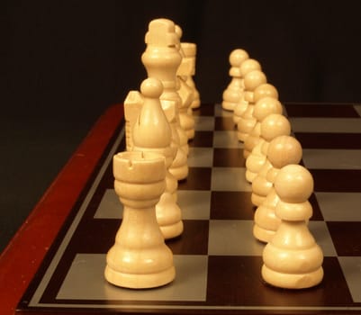 chess pieces lined up and ready for the start of a match