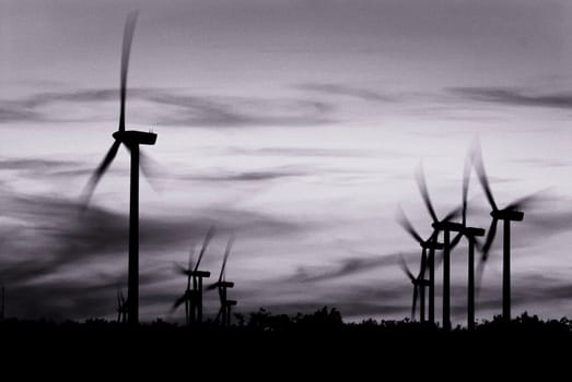 Wind turbines in B&W 