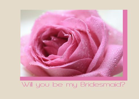 pink rose card for a bridesmaid