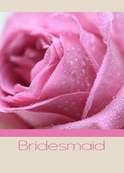 pink rose card for a bridesmaid