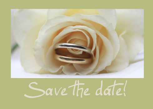 white rose card, save the date, perfect for wedding