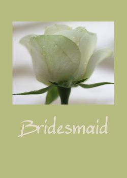 white rose card for a bridesmaid