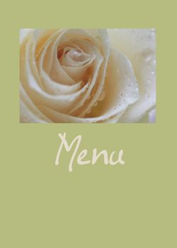 white rose card for (wedding) menu