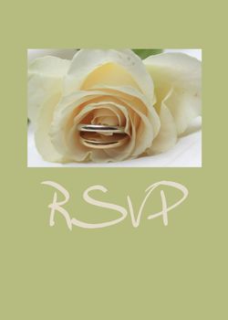 white rose card for (wedding) invitation reply