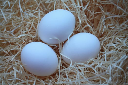 A group of white eggs in hay