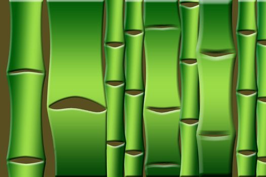 bamboo background