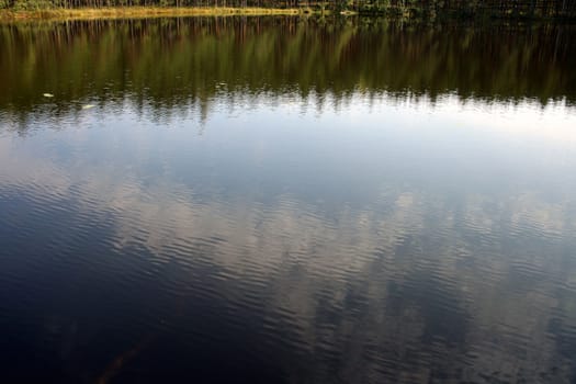 Calm on wood lake. Forest lake near Braslav, Belorussia