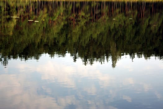 Lake smooth surface. Forest lake near Braslav, Belorussia