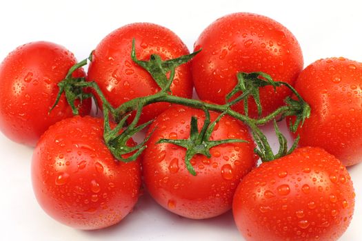 tomato, branch, red, wet, a vegetable, vitamins, water, meal, food 