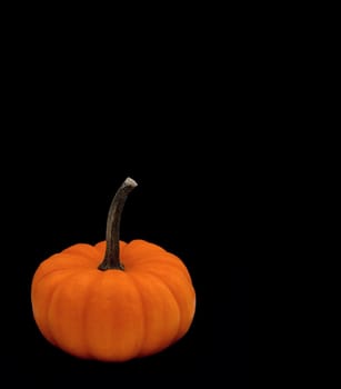 Orange pumpkin with a long stem isolated on a black background. Plenty of space for copy and other graphic elements. 