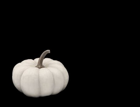 White pumpkin isolated on a black background. Plenty of space for copy and other graphic elements. 