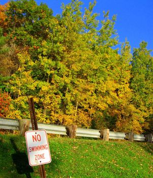 A comical "no swimming" sign next to a forest of trees