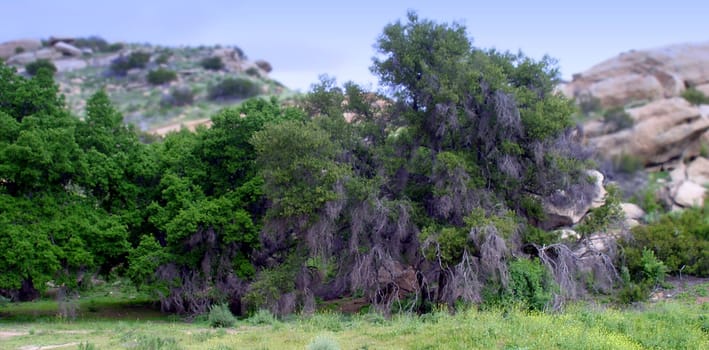 Santa Susana Mountains is a tourist destination for fans of old western movies.