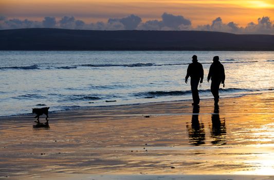 Silhouettes of two people walking with their dog on a beach at sunset. 