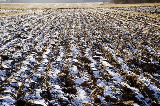 Ploughed field in the winter time, taken in Finland of Desemer 2009