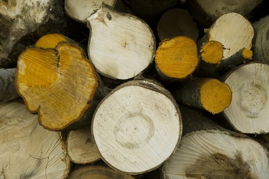 Chopped trees laying on the logs storage, taken in Finland